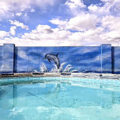 Custom pool wall mural of a realistic dolphin leaping over blue water.
